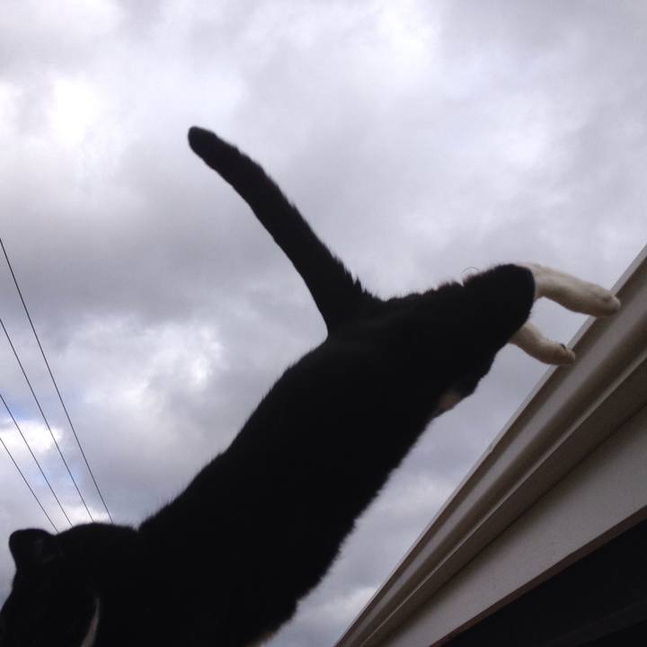 546128cc 3f31 42f0 85dd 97db39500299