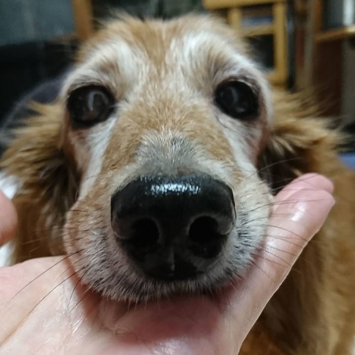 546190c0 4d70 47e5 97a4 e1013540f377