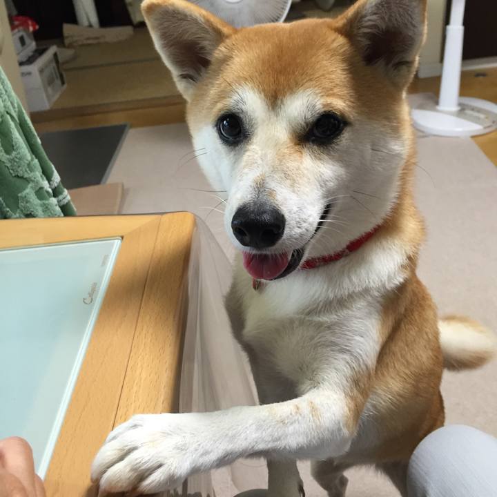 5461f7ca 2f61 4251 bbdf 0d662616dab5