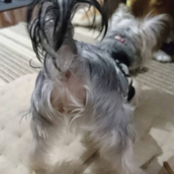 5461f8cf 946e 4f99 b81f 4c10acdeda5f