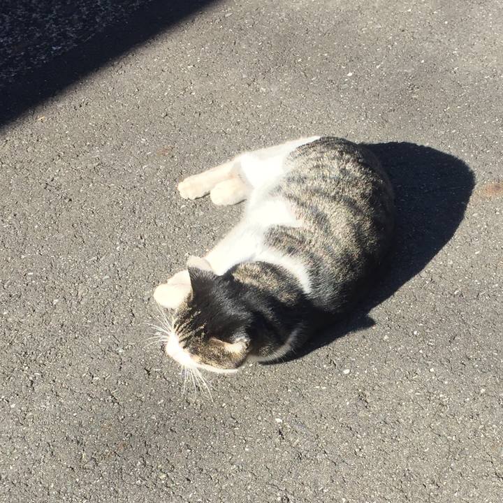 54625903 5f03 4c89 8632 035585869fc6