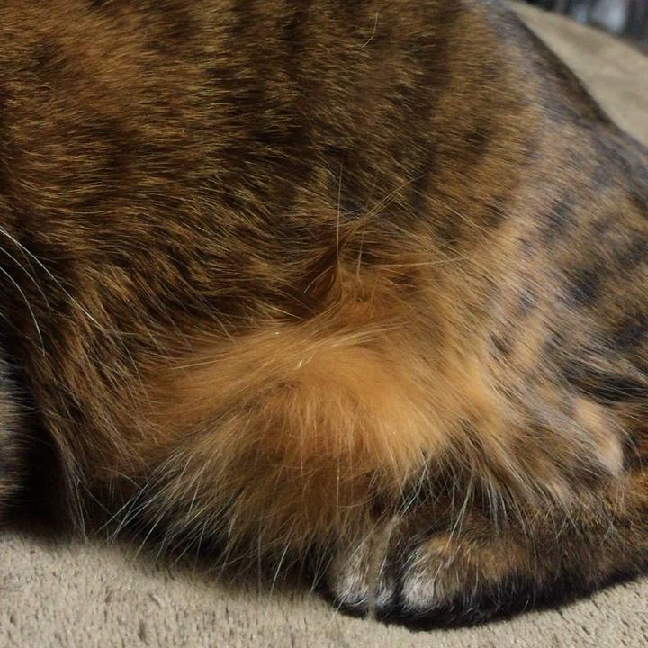 5462bd8f 7f35 4ee5 9c88 4610cf63b3e8