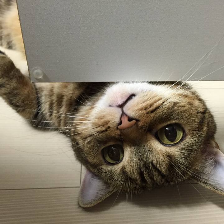 5463149f a188 493e ab17 967b4741de30