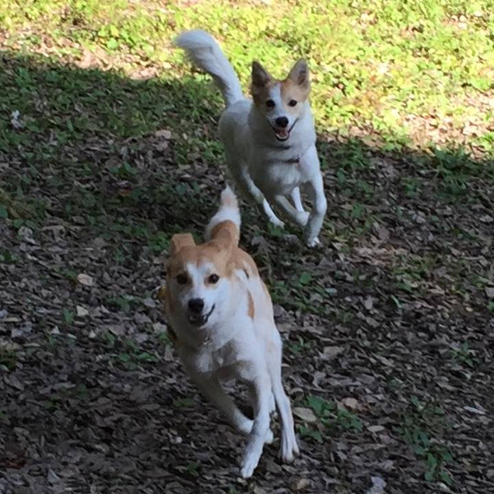 5463365a 4697 4bc9 bfb1 38c01f5644bb