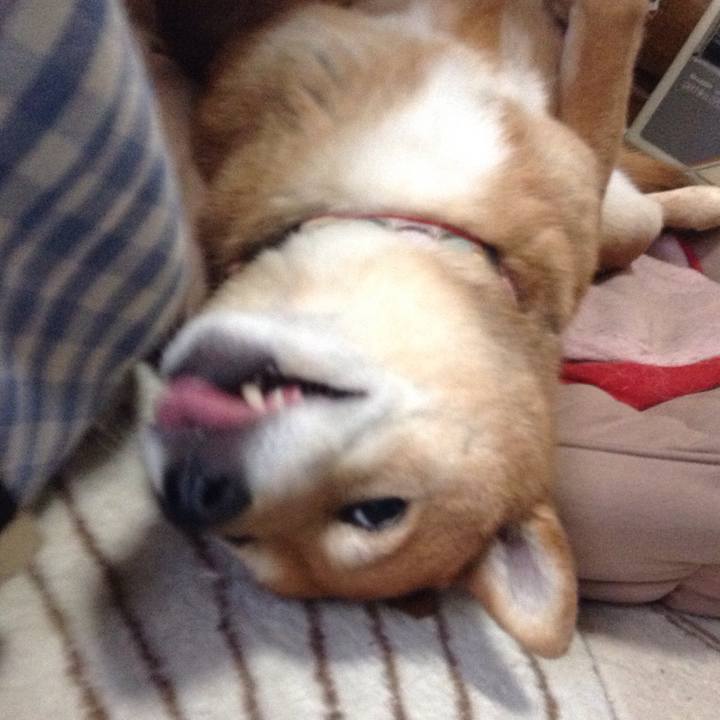 54650333 e300 46bf b596 68584f71e1b1