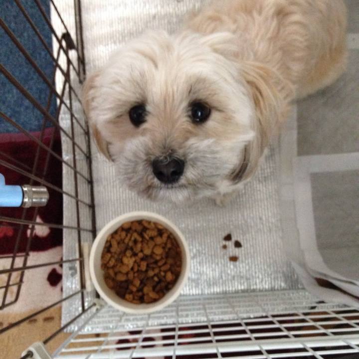 546594c8 0654 48a2 bc03 a2431e83f194