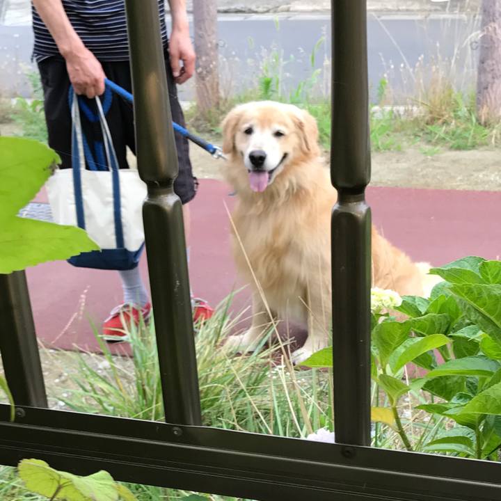 5465a048 336e 41fa 98d1 fb979928f5e4