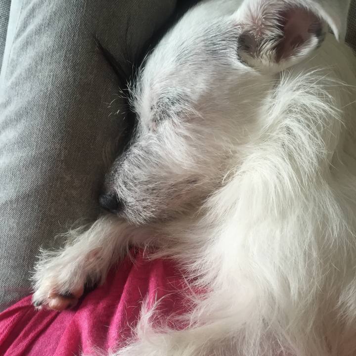 5465baab 8921 4b49 903b ee1c238e836c