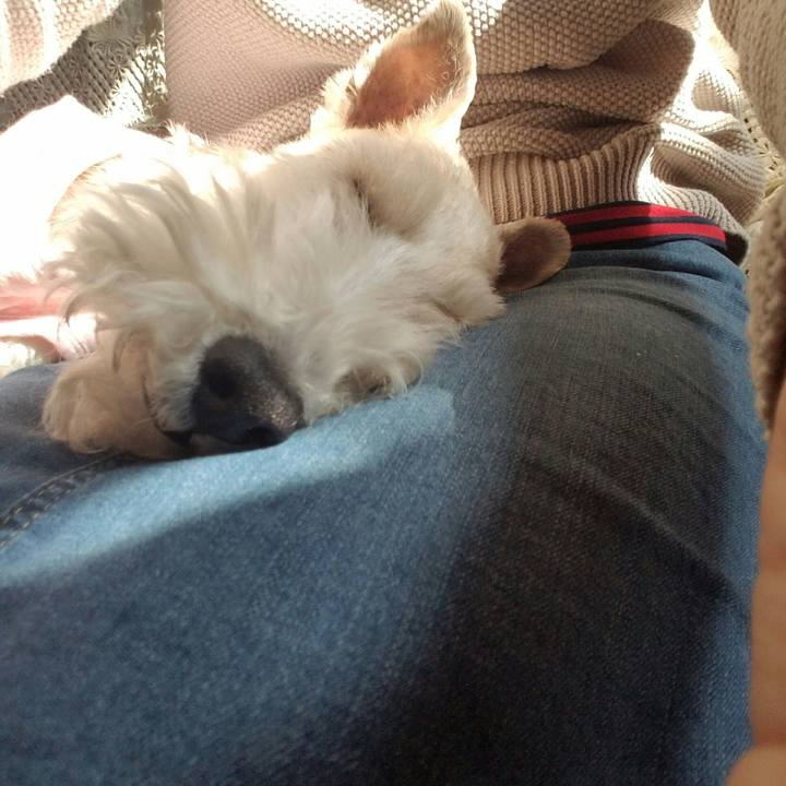 5466184f 93e7 46a5 976e 35e71656723b