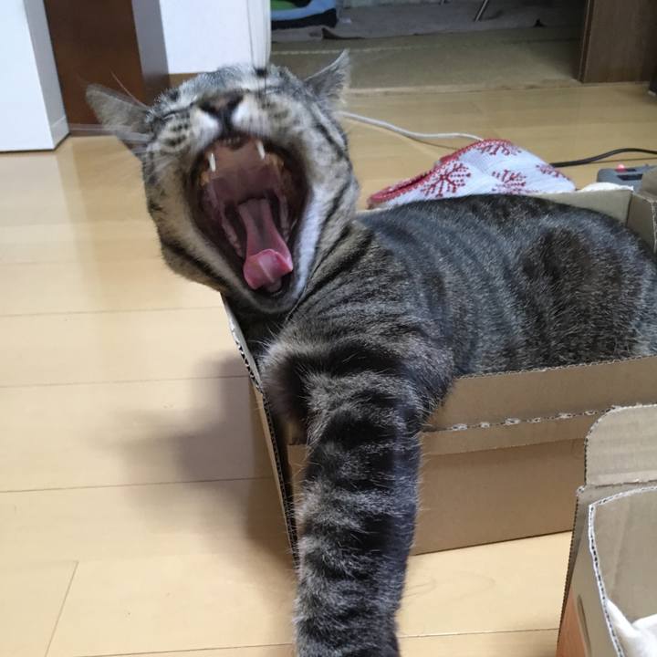 54665172 dc41 484e a742 22042254272d