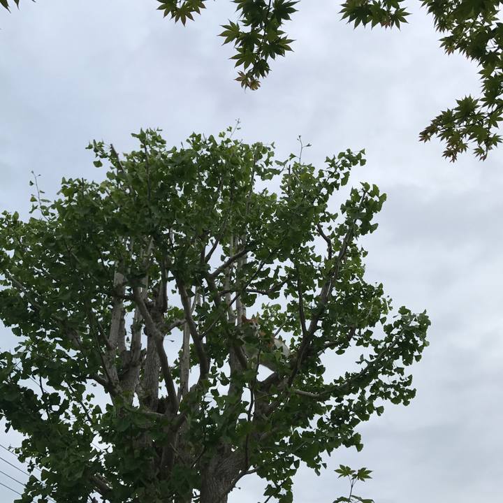 5466672f b122 4b74 b050 f0872ad19c65