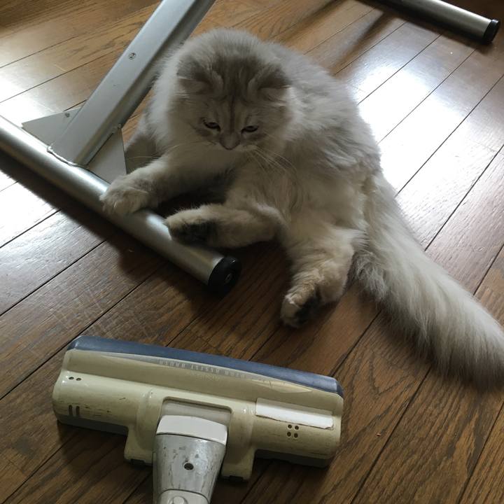 54667d7d 8ba8 4ce7 83e7 9ce17d4849e5