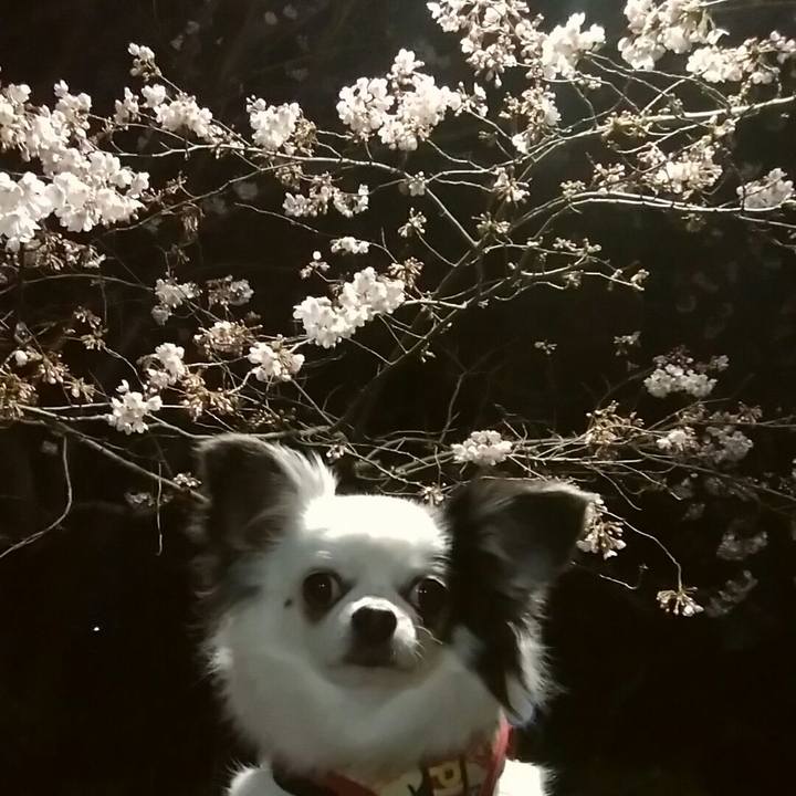 5466a625 1638 42d6 ad29 3665edfbe81d