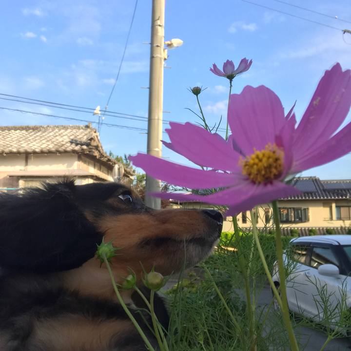 54672734 7c4c 48d4 b5d6 b38c7132549f