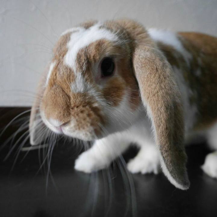 54673237 8215 4e3d b7b4 7d0ce92c273d