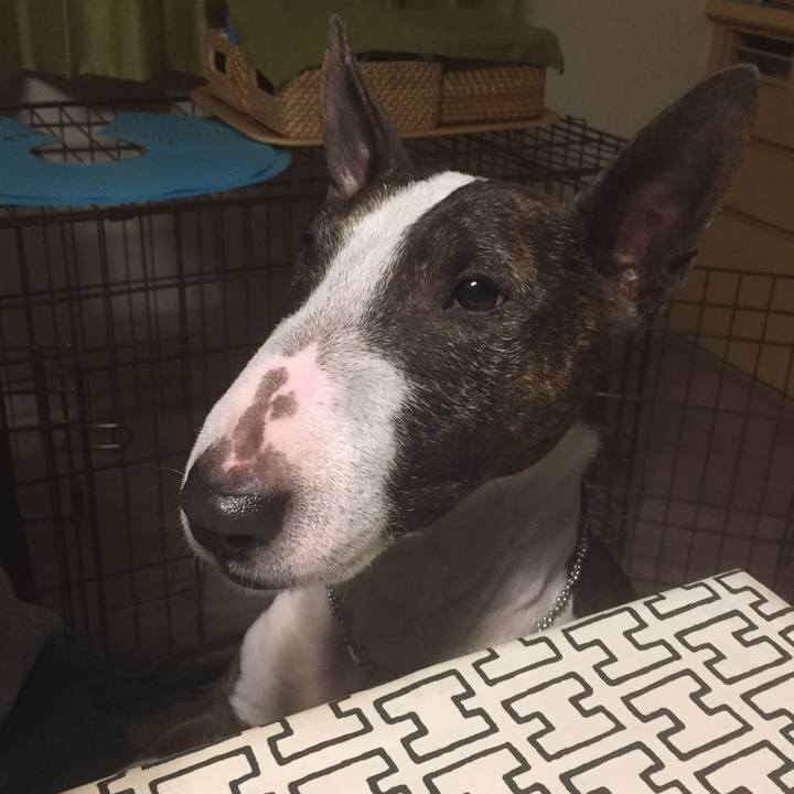 54674359 fd13 4369 ad07 71162b6a82d1