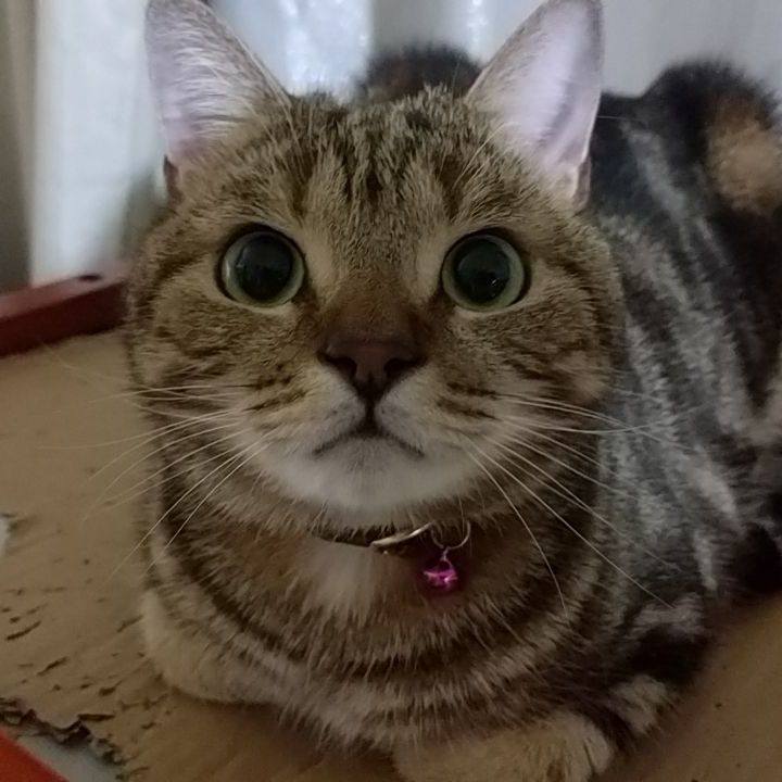 54677ee3 c877 4110 a0b7 383acc65de6b