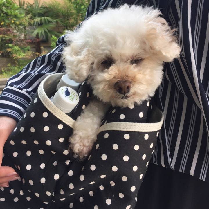 54679615 b59e 40ea a187 7ad1589360f3