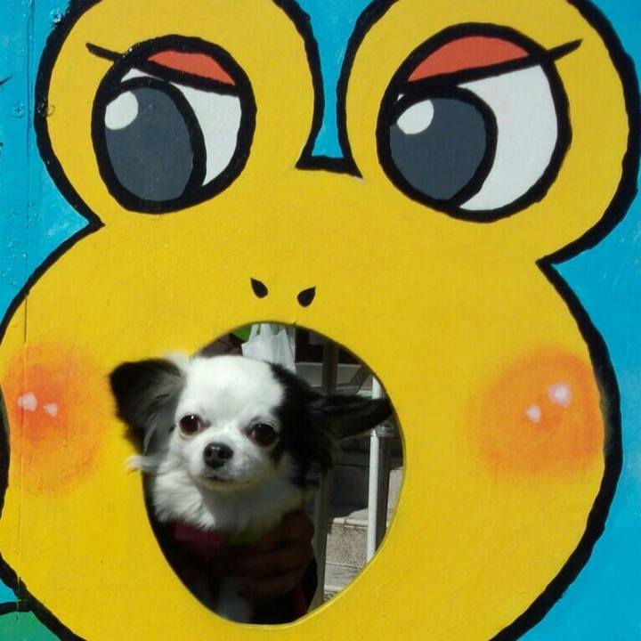 5467a33b bb4e 4532 8b75 5e63e8e07b4c