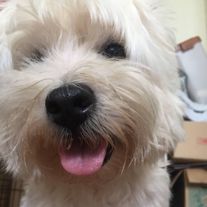 5467c00a 3d91 4f78 b2d7 5b67c2e10c2f