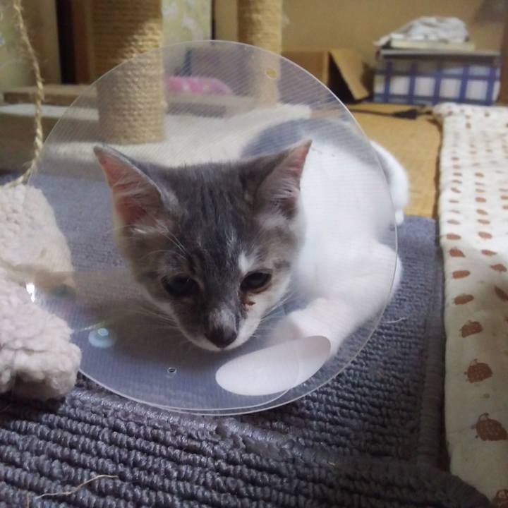 5467cdaf 87ac 47a9 ad1c 022a35b44371