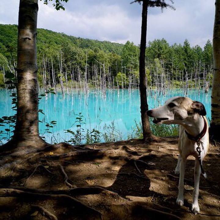 5467f6c5 d6e0 4949 9baf 3aeb4a15b534