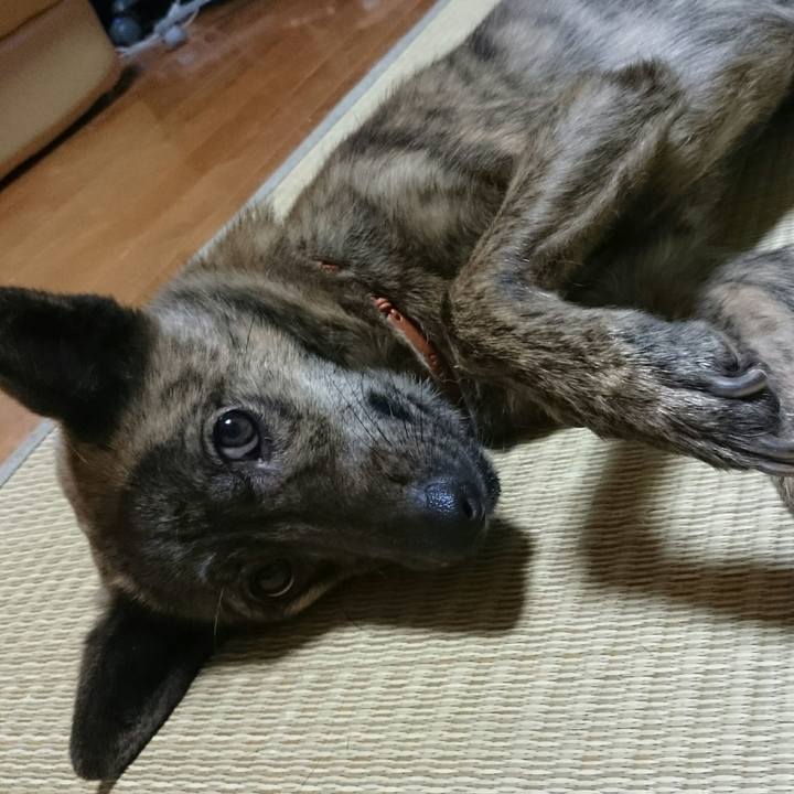 54680736 1b81 4306 b65e ef3aa649f9ad