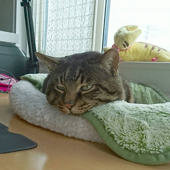 54681c1c f1ab 496c b67c 0bcbb5510be3