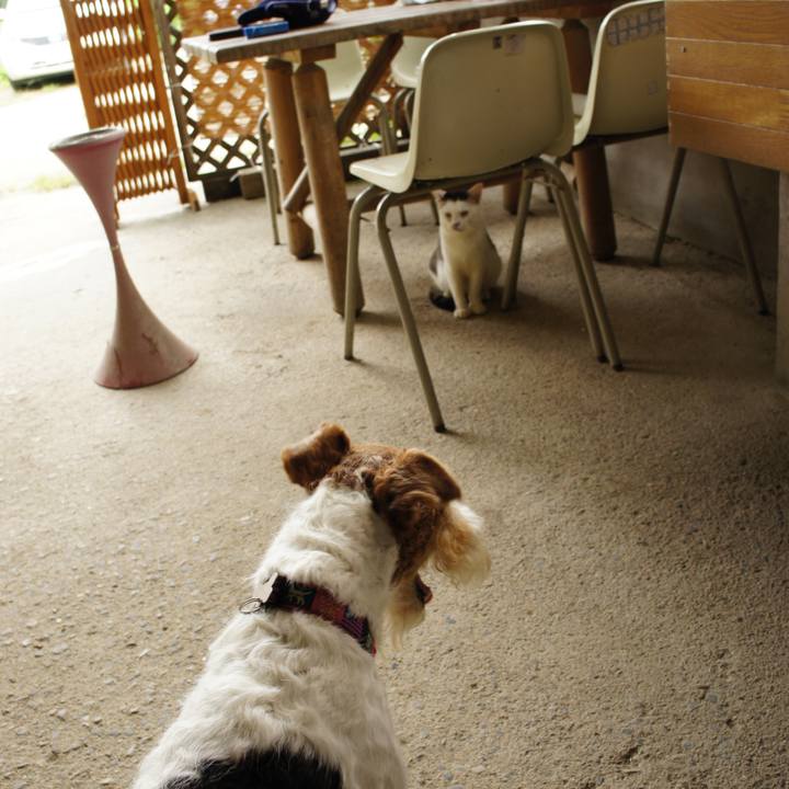 54688fe6 e200 432f b203 943366abc0b2