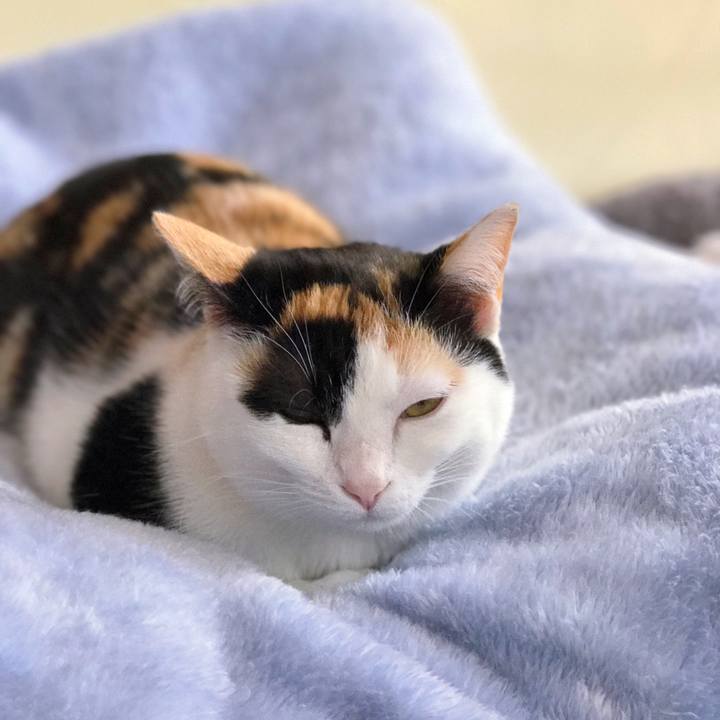 54689730 c364 40f2 a750 09b837234cbf