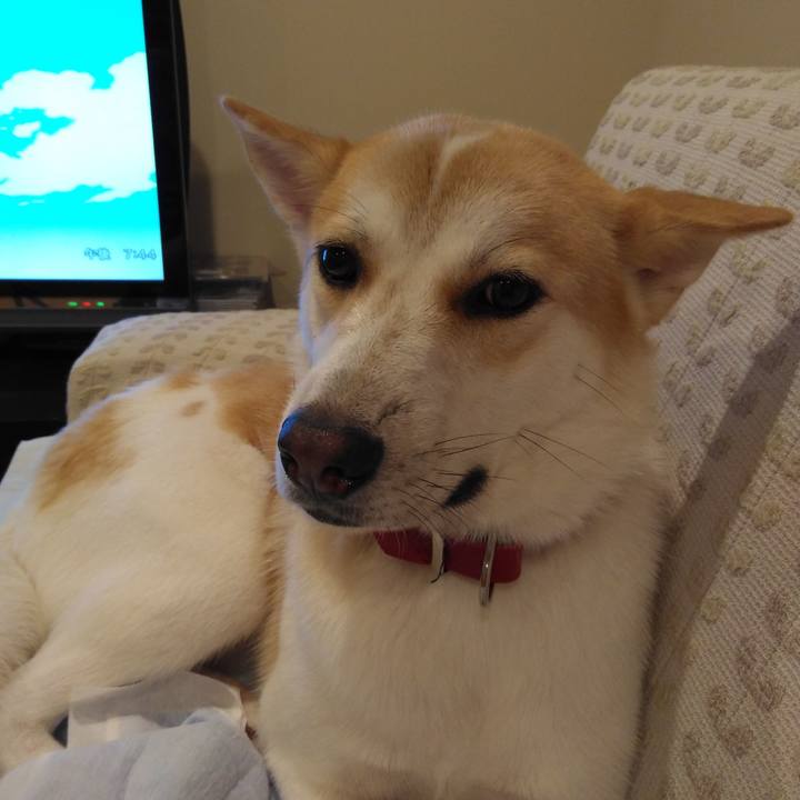 5468e7b9 9fa4 41a6 b560 1b15471c9697