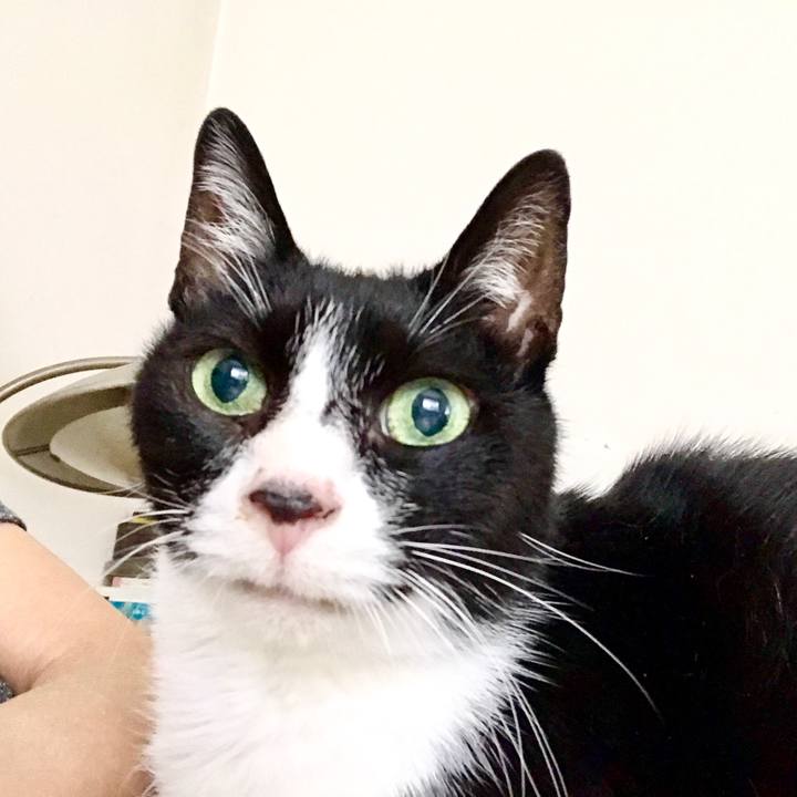 54691054 2558 446a b52f 8edb2c2c69a4