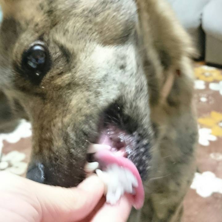 54692799 c48c 4816 aa82 dbfcf8bc954f