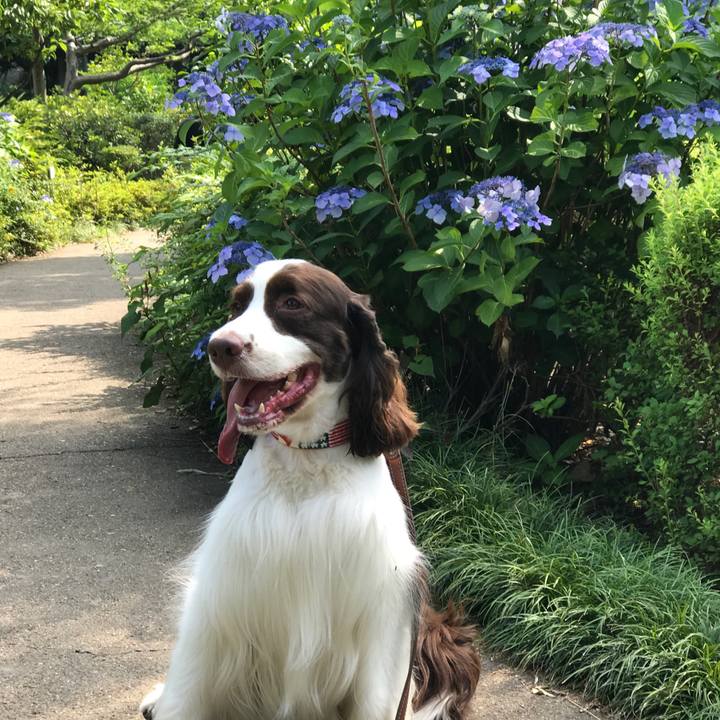 54698493 cd85 49a0 9b65 11c5bb520a8a