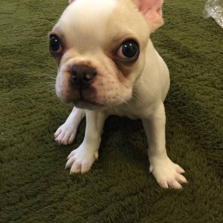 54699e41 d486 4efe a1d9 594fb8fe411e