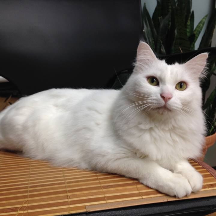 5469c1c5 36f3 494b a163 59128b15f5a0