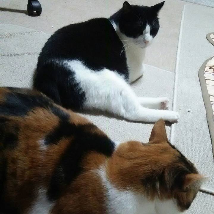 5469ceda 051b 4206 895f 57cd449dd2d2