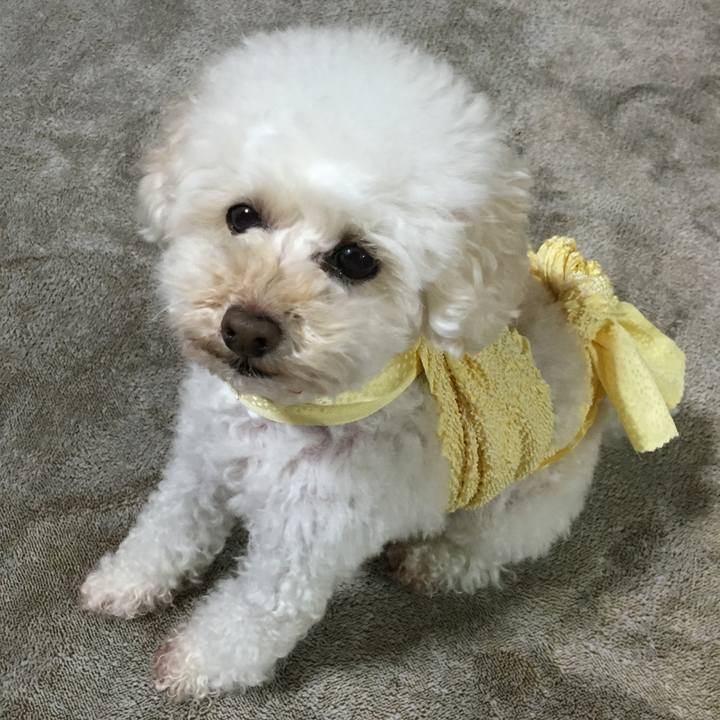 5469ed05 1a0e 400a 835a 8485f9aaf6d9