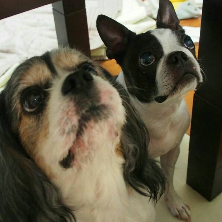 546a29b5 f537 4f94 9bbd f2517cbc6d28