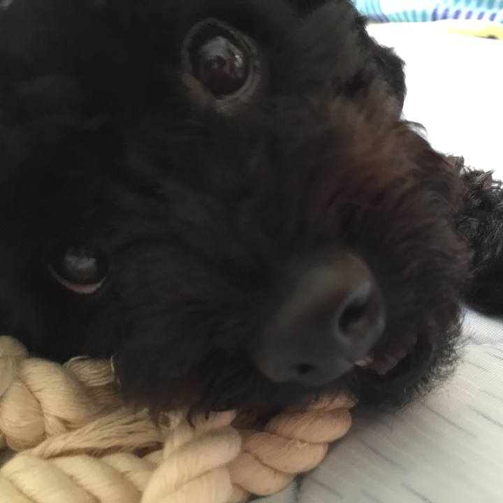 546a4392 e7bf 4c7e 9d53 62832679d989