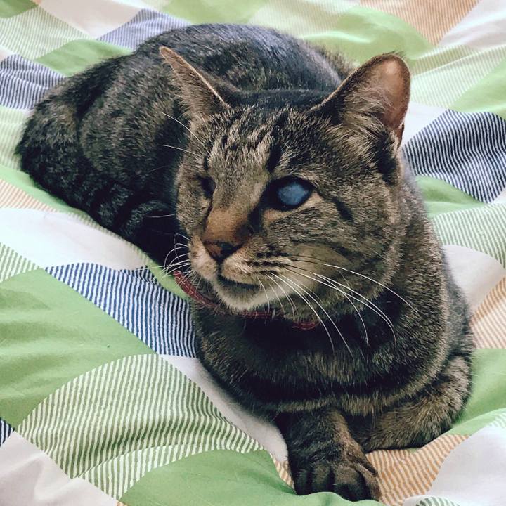 546a557d 2f5d 4f13 bdc0 b6412f1b97c9