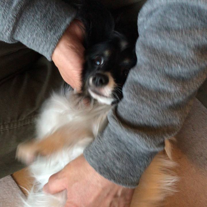 546bbf43 2179 4564 b187 cbaba6fce7e0