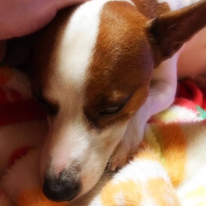 546c87c0 61e6 4770 9ae5 7320c76b7777