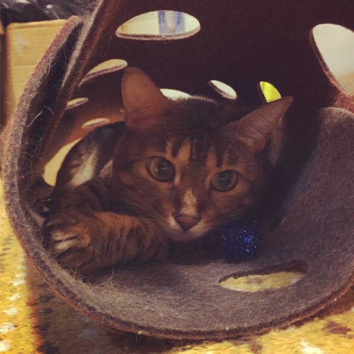 546ced96 fd06 4414 93a3 2b8d94c36e3c