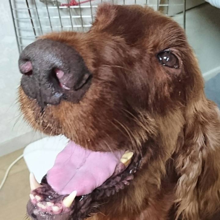 546d0423 d806 4cfe 8c7a bb708f8e76e5