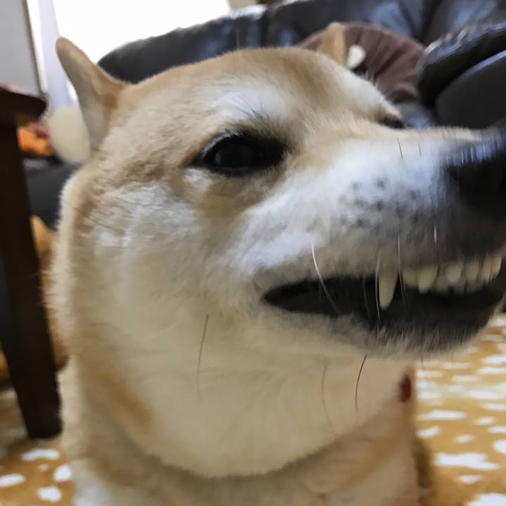 546d3bb0 2db8 4f35 9328 d974bd021372