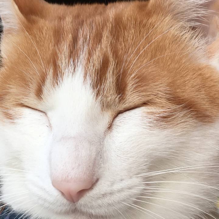 546d560c 3338 47bb 847b eb14cad7c788