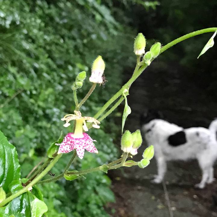 546d84c7 cde2 4fee 9975 7d47a432b49c