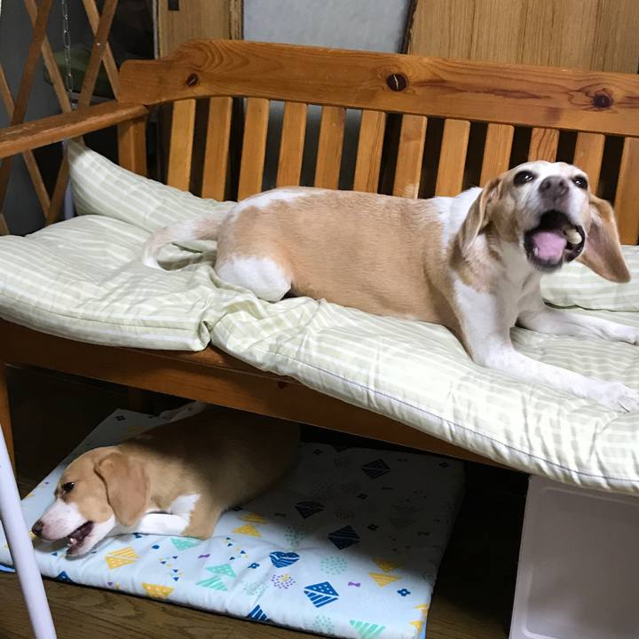 546ed3ff 1831 4f66 ae86 f103e9e912c8