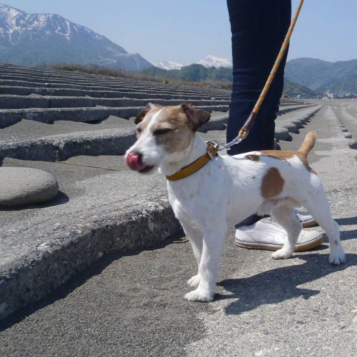 546f0e8c 958a 4688 98e6 f4ef8a26877f